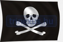 Flagge Pirat 100 x 60 cm