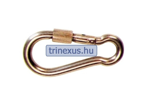 Karabiner mit Schraube aus Edelstahl 10X100